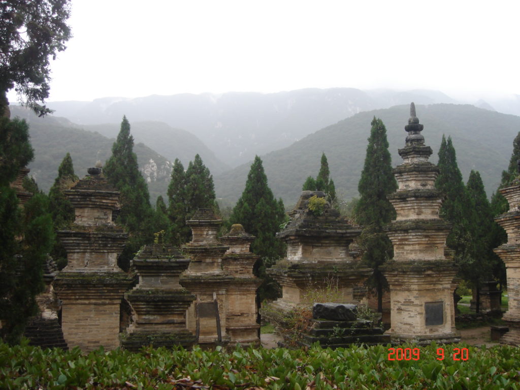 Indescribable feeling of Pagoda Forest at Shaolin Monastery